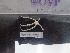  ( - Ohe_INVEQU4197)  @11 [ ] Unspecified (default): All Rights Reserved (2025) Invemar Invemar-BEM