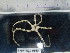  ( - Ohe_INVEQU4198)  @11 [ ] Unspecified (default): All Rights Reserved (2025) Invemar Invemar-BEM