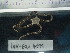  ( - Ohe_INVEQU4199)  @11 [ ] Unspecified (default): All Rights Reserved (2025) Invemar Invemar-BEM