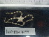  ( - Ohe_INVEQU4199)  @11 [ ] Unspecified (default): All Rights Reserved (2025) Invemar Invemar-BEM