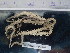  ( - Oan_INVEQU4206)  @11 [ ] Unspecified (default): All Rights Reserved (2025) Invemar Invemar-BEM