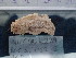  ( - Ifu_INVEQU4229)  @11 [ ] Unspecified (default): All Rights Reserved (2025) Invemar Invemar-BEM
