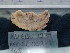  ( - Ifu_INVEQU4229)  @11 [ ] Unspecified (default): All Rights Reserved (2025) Invemar Invemar-BEM