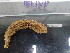  ( - Hhi_INVEQU4310)  @11 [ ] Unspecified (default): All Rights Reserved (2025) Invemar Invemar-BEM