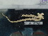  ( - Oal_INVEQU4338)  @11 [ ] Unspecified (default): All Rights Reserved (2025) Invemar Invemar-BEM