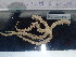  ( - Oal_INVEQU4340)  @11 [ ] Unspecified (default): All Rights Reserved (2025) Invemar Invemar-BEM