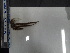  ( - Oal_INVEQU4342)  @11 [ ] Unspecified (default): All Rights Reserved (2025) Invemar Invemar-BEM