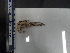  ( - Oal_INVEQU4342)  @11 [ ] Unspecified (default): All Rights Reserved (2025) Invemar Invemar-BEM