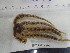  ( - Oal_INVEQU4343)  @11 [ ] Unspecified (default): All Rights Reserved (2025) Invemar Invemar-BEM
