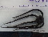  ( - Ohe_INVEQU4356)  @11 [ ] Unspecified (default): All Rights Reserved (2025) Invemar Invemar-BEM