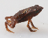  ( - 0498-II_ARA7449)  @11 [ ] CreativeCommons - Attribution Non-Commercial Share-Alike (2017) Instituto de Investigacion Alexander von Humboldt (IAvH) Instituto de Investigacion Alexander von Humboldt (IAvH)