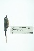  ( - 0415-I_SCC668)  @11 [ ] CreativeCommons - Attribution Non-Commercial Share-Alike (2017) Instituto de Investigacion Alexander von Humboldt (IAvH) Instituto de Investigacion Alexander von Humboldt (IAvH)