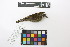 ( - 0468-II_SCC739)  @11 [ ] CreativeCommons - Attribution Non-Commercial Share-Alike (2018) Instituto de Investigacion Alexander von Humboldt (IAvH) Instituto de Investigacion Alexander von Humboldt (IAvH)