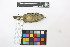 ( - 0468-II_SCC739)  @11 [ ] CreativeCommons - Attribution Non-Commercial Share-Alike (2018) Instituto de Investigacion Alexander von Humboldt (IAvH) Instituto de Investigacion Alexander von Humboldt (IAvH)