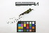  ( - 0565-III_AMC1552)  @11 [ ] CreativeCommons - Attribution Non-Commercial Share-Alike (2018) Instituto de Investigacion Alexander von Humboldt (IAvH) Instituto de Investigacion Alexander von Humboldt (IAvH)