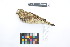  ( - 0575-III_AMC1567)  @11 [ ] CreativeCommons - Attribution Non-Commercial Share-Alike (2018) Instituto de Investigacion Alexander von Humboldt (IAvH) Instituto de Investigacion Alexander von Humboldt (IAvH)