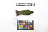  ( - 0774-IV_IAvH-A-16222)  @11 [ ] CreativeCommons - Attribution Non-Commercial Share-Alike (2018) Instituto de Investigacion Alexander von Humboldt (IAvH) Instituto de Investigacion Alexander von Humboldt (IAvH)