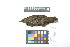  ( - 0836-IV_IAvH-A-16286)  @11 [ ] CreativeCommons - Attribution Non-Commercial Share-Alike (2018) Instituto de Investigacion Alexander von Humboldt (IAvH) Instituto de Investigacion Alexander von Humboldt (IAvH)