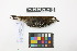  ( - 0853-IV_IAvH-A-16304)  @11 [ ] CreativeCommons - Attribution Non-Commercial Share-Alike (2018) Instituto de Investigacion Alexander von Humboldt (IAvH) Instituto de Investigacion Alexander von Humboldt (IAvH)