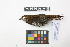  ( - 0853-IV_IAvH-A-16304)  @11 [ ] CreativeCommons - Attribution Non-Commercial Share-Alike (2018) Instituto de Investigacion Alexander von Humboldt (IAvH) Instituto de Investigacion Alexander von Humboldt (IAvH)