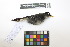  ( - 1021-IV_CAP44)  @11 [ ] CreativeCommons - Attribution Non-Commercial Share-Alike (2018) Instituto de Investigacion Alexander von Humboldt (IAvH) Instituto de Investigacion Alexander von Humboldt (IAvH)