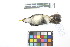  ( - 1021-IV_CAP44)  @11 [ ] CreativeCommons - Attribution Non-Commercial Share-Alike (2018) Instituto de Investigacion Alexander von Humboldt (IAvH) Instituto de Investigacion Alexander von Humboldt (IAvH)