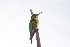  ( - 0401-I_SCC654)  @11 [ ] CreativeCommons - Attribution Non-Commercial Share-Alike (2017) Instituto de Investigacion Alexander von Humboldt (IAvH) Instituto de Investigacion Alexander von Humboldt (IAvH)