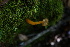  ( - 0361-I_NVE-BT2)  @11 [ ] CreativeCommons - Attribution Non-Commercial Share-Alike (2017) Natalia Vargas Universidad de los Andes