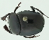  ( - IAvH-E-183515)  @11 [ ] CreativeCommons - Attribution Non-Commercial Share-Alike (2018) Instituto de Investigacion Alexander von Humboldt (IAvH) Instituto de Investigacion Alexander von Humboldt (IAvH)
