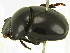  ( - IAvH-E-183530)  @11 [ ] CreativeCommons - Attribution Non-Commercial Share-Alike (2018) Instituto de Investigacion Alexander von Humboldt (IAvH) Instituto de Investigacion Alexander von Humboldt (IAvH)