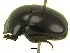  ( - IAvH-E-183531)  @11 [ ] CreativeCommons - Attribution Non-Commercial Share-Alike (2018) Instituto de Investigacion Alexander von Humboldt (IAvH) Instituto de Investigacion Alexander von Humboldt (IAvH)