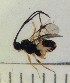  ( - IAvH-E-185347)  @11 [ ] CreativeCommons - Attribution Non-Commercial Share-Alike (2018) Instituto de Investigacion Alexander von Humboldt (IAvH) Instituto de Investigacion de Recursos Biologicos Alexander von Humboldt