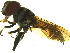  ( - IAvH-E-185607)  @11 [ ] CreativeCommons - Attribution Non-Commercial Share-Alike (2018) Instituto de Investigacion Alexander von Humboldt (IAvH) Instituto de Investigacion Alexander von Humboldt (IAvH)