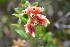  ( - 0276-I_JAC3289)  @11 [ ] CreativeCommons - Attribution Non-Commercial Share-Alike (2017) Instituto de Investigacion Alexander von Humboldt (IAvH) Instituto de Investigacion Alexander von Humboldt (IAvH)