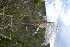  ( - 0251-I_JAC3263)  @11 [ ] CreativeCommons - Attribution Non-Commercial Share-Alike (2016) Instituto de Investigacion Alexander von Humboldt (IAvH) Instituto de Investigacion Alexander von Humboldt (IAvH)