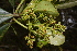  ( - 0039-I_HMC18861)  @11 [ ] CreativeCommons - Attribution Non-Commercial Share-Alike (2060) Instituto de Investigacion Alexander von Humboldt (IAvH) Instituto de Investigacion Alexander von Humboldt (IAvH)
