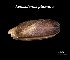  ( - Lpl_MOL10424)  @11 [ ] Unspecified (default): All Rights Reserved (2025) Invemar Invemar-BEM