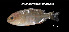  ( - Arh_TEJ3807)  @11 [ ] Unspecified (default): All Rights Reserved (2023) Invemar Invemar-BEM