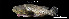  ( - Eit_TEJ3896)  @11 [ ] Unspecified (default): All Rights Reserved (2023) Invemar Invemar-BEM