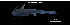  (Sciades herzbergii - She_TEJ3836)  @11 [ ] Unspecified (default): All Rights Reserved (2023) Invemar Invemar-BEM
