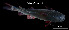  ( - She_TEJ3890)  @11 [ ] Unspecified (default): All Rights Reserved (2023) Invemar Invemar-BEM