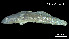  ( - Bra_Consec. 90127)  @11 [ ] Unspecified (default): All Rights Reserved (2025) Invemar Invemar-BEM