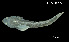  ( - Bra_Consec. 90084)  @11 [ ] Unspecified (default): All Rights Reserved (2025) Invemar Invemar-BEM