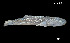  ( - Bra_Consec. 90126)  @11 [ ] Unspecified (default): All Rights Reserved (2025) Invemar Invemar-BEM