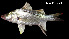  ( - Car_Consec. 90122)  @11 [ ] Unspecified (default): All Rights Reserved (2025) Invemar Invemar-BEM