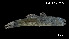  ( - Ban_Consec. 90110)  @11 [ ] Unspecified (default): All Rights Reserved (2025) Invemar Invemar-BEM