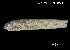  ( - Csa_INV PEC14252)  @11 [ ] Unspecified (default): All Rights Reserved (2025) Invemar Invemar-BEM