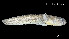  ( - Csa_Consec. 90105)  @11 [ ] Unspecified (default): All Rights Reserved (2025) Invemar Invemar-BEM