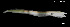  (Cynoponticus - Cco_Consec. 90183)  @11 [ ] Unspecified (default): All Rights Reserved (2025) Invemar Invemar-BEM