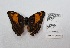  ( - CBMP0230)  @11 [ ] Unspecified (default): All Rights Reserved (2022) Copyright photoshop